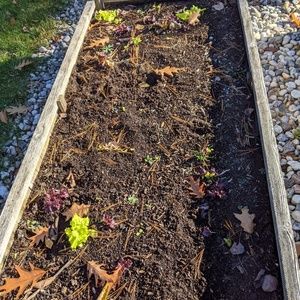 Meet your Posher, Leah